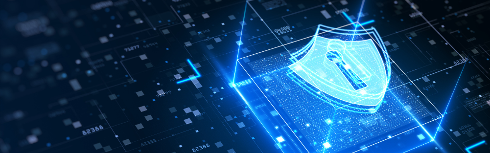 Protezione per la Sicurezza Informatica Aziendale